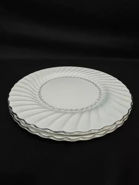 Lot of 2 Homer Laughlin Arcadia 10.25" Dinner Plates Ribbed Platinum Edge