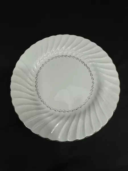 Lot of 2 Homer Laughlin Arcadia 10.25" Dinner Plates Ribbed Platinum Edge