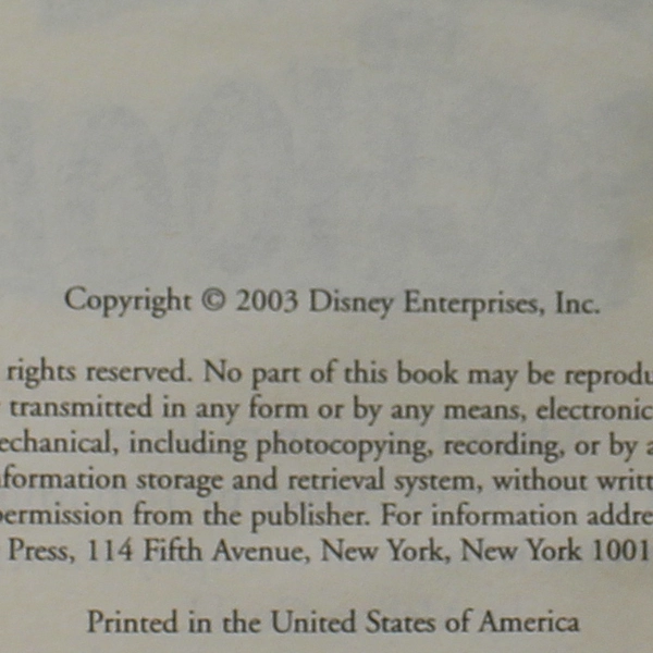 Lizzie McGuire New Kid in School Disney Channel Staff 2003 Paperback