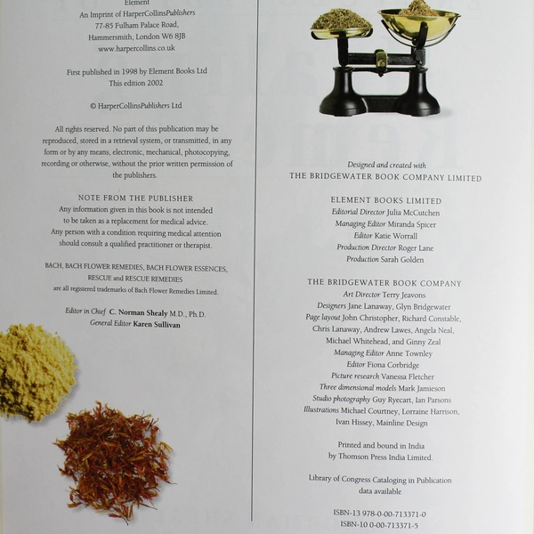 The Illustrated Encyclopedia of Healing Remedies by C. Norman Shealy 2002 PB