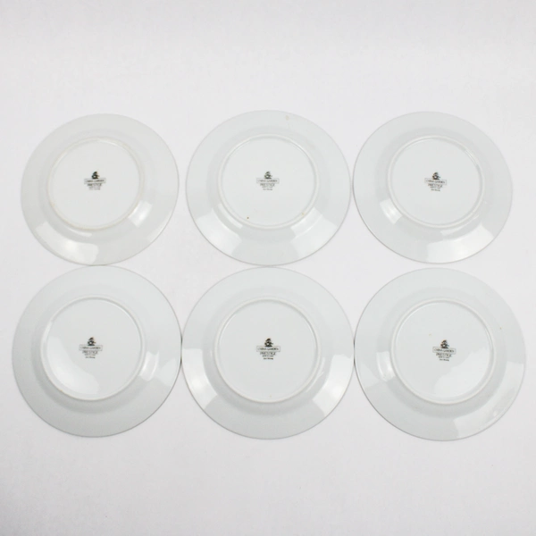 Set Of 6 China Garden Salad Plates by Prestige 7 Inch