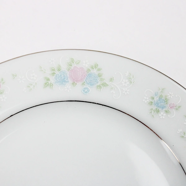 Set Of 6 China Garden Salad Plates by Prestige 7 Inch