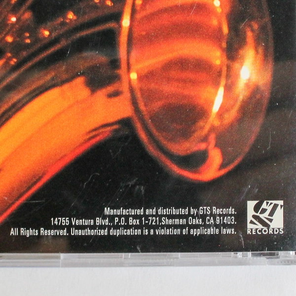 The John Tesh Project Sax By The Fire CD 1995 GTS Records Jazz Good Condition