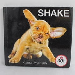 Shake by Carli Davidson 2013 Harper Design Hardcover Dust Jacket