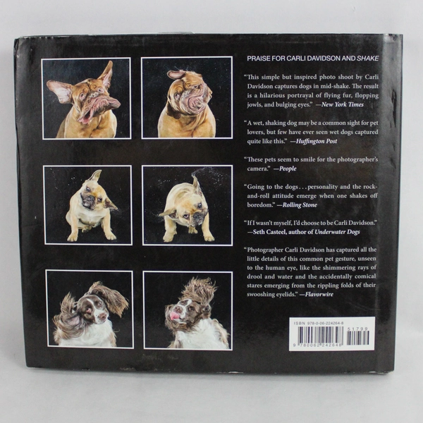 Shake by Carli Davidson 2013 Harper Design Hardcover Dust Jacket