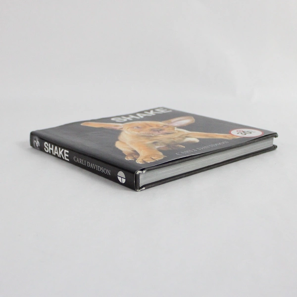 Shake by Carli Davidson 2013 Harper Design Hardcover Dust Jacket