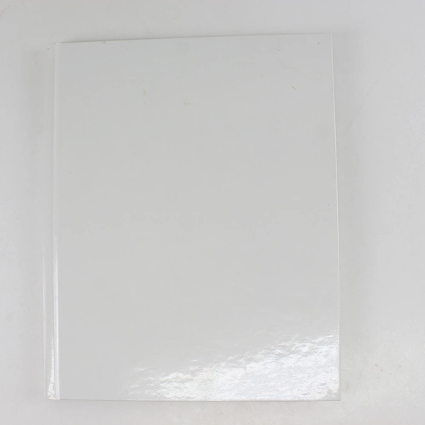 Schwan's Family Favorites The Best of the Roundup 1995 Hardcover