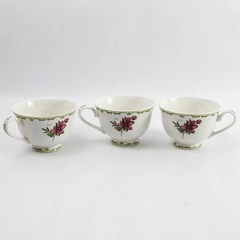 Set of 3 Queen's China Nicolas Robert Recueil des Fleur Tea Cups