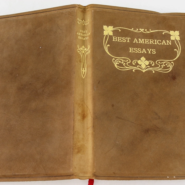 Best American Essays John R. Howard 1910 Vintage Leather Book Crowell