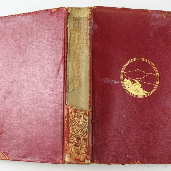 The Scarlet Letter Nathaniel Hawthorne 1900 Houghton Mifflin Hardcover