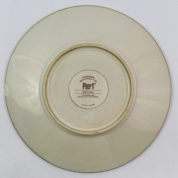 Pier 1 Sanctuary Stoneware Salad Plate Starburst Accent Cream Brown Pre-owned