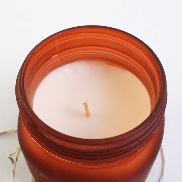 Debi Lilly 5 oz Scented Jar Candle, Soy Wax Pumpkin Spice 25 Hour