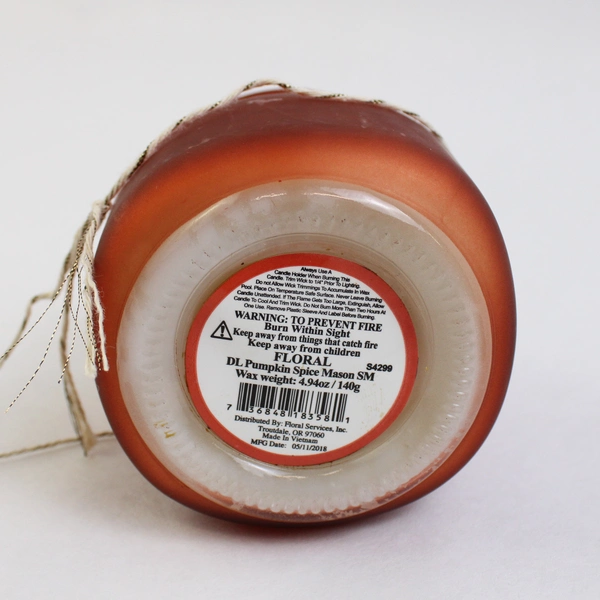 Debi Lilly 5 oz Scented Jar Candle, Soy Wax Pumpkin Spice 25 Hour