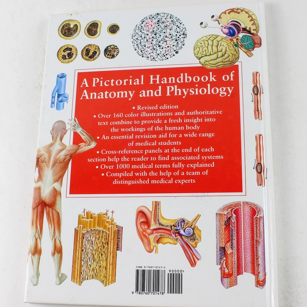 A Pictorial Handbook of Anatomy & Physiology by Dr James Bevan 2000 HC