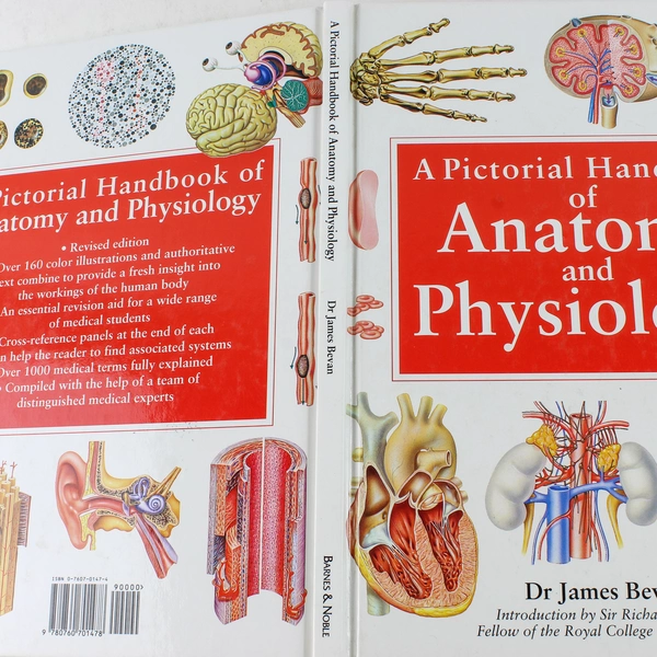 A Pictorial Handbook of Anatomy & Physiology by Dr James Bevan 2000 HC