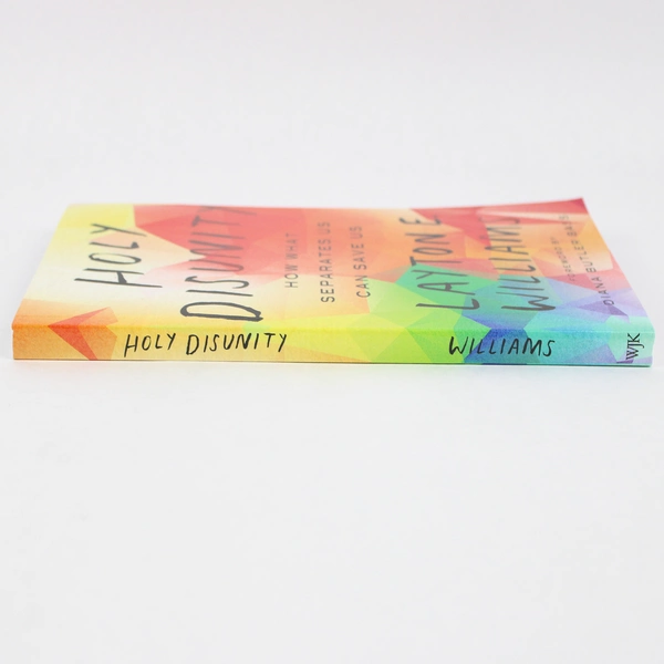 Holy Disunity by Layton E Williams 2019 Paperback 1st Edition