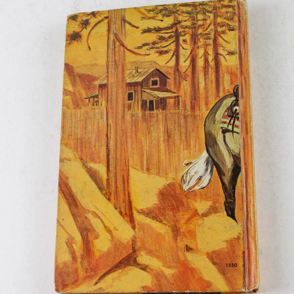 Robin Kane The Mystery of the Blue Pelican Eileen Hill 1966 Hardcover