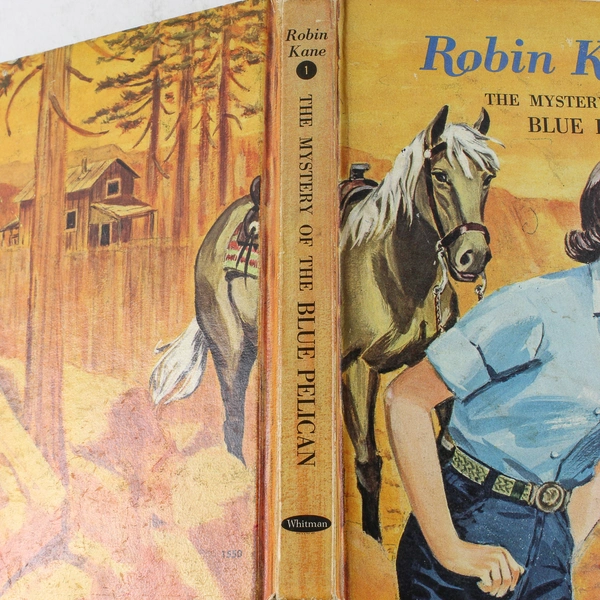 Robin Kane The Mystery of the Blue Pelican Eileen Hill 1966 Hardcover