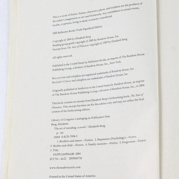 The Art of Mending by Elizabeth Berg 2005 Paperback Good Condition Novel