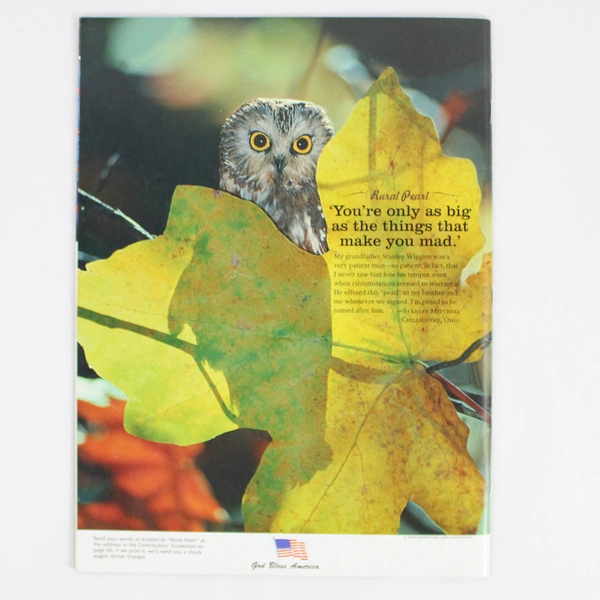 Country Extra Magazine Simple Pleasures September 2009 Issue Vol. 20 No. 3