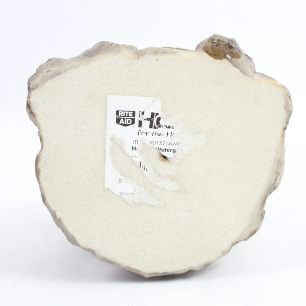 Rite Aid Snow Globe Nativity Scene Christmas 5"