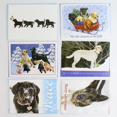 Lot of 6 Guiding Eyes For The Blind Christmas Greeting Cards