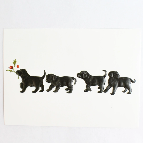 Lot of 6 Guiding Eyes For The Blind Christmas Greeting Cards