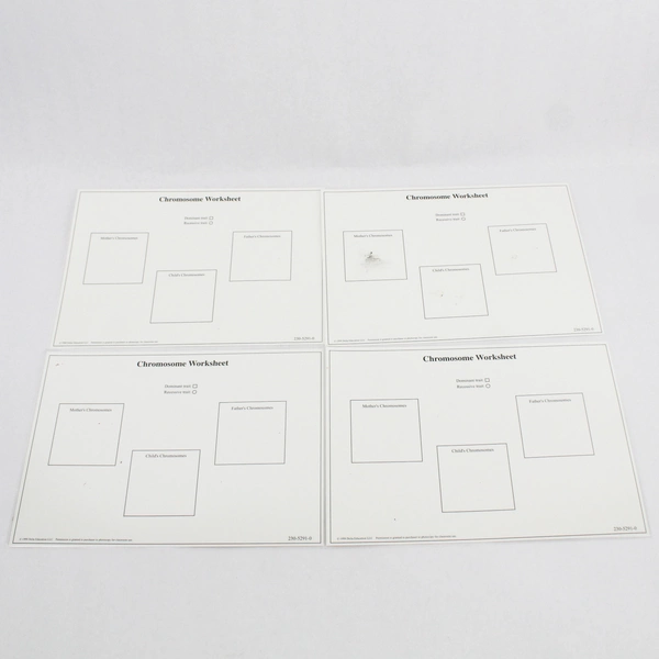 Lot of 3 Science In A Nutshell One And Only You Home Learning Kits