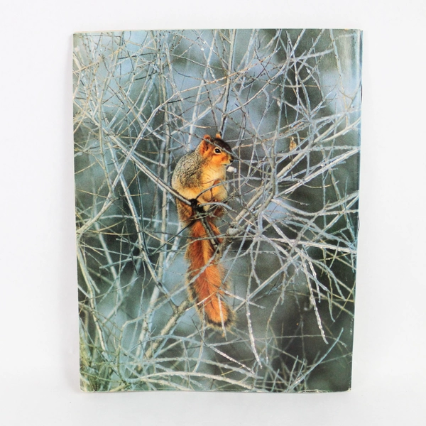 National Wildlife Magazine December-January 1979 Issue Volume 17 Number 1