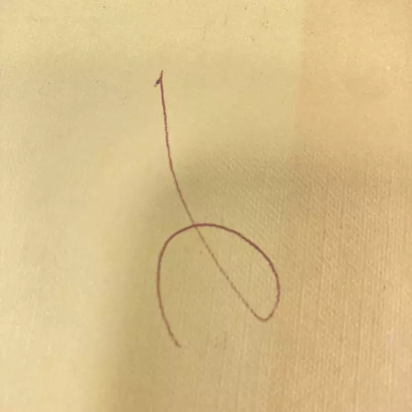 The Country Store by Stephanie Donaldson 1996 Hardcover - Pre-Owned, Worn