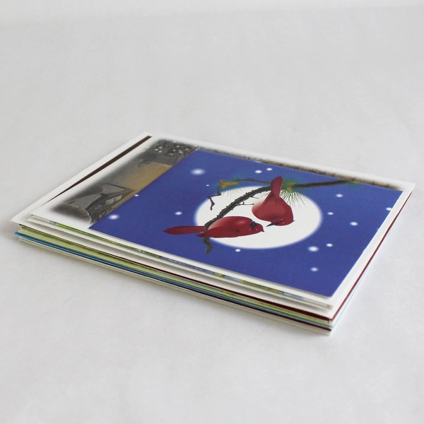 Lot of 17 Habitat For Humanity Christmas Greeting Cards