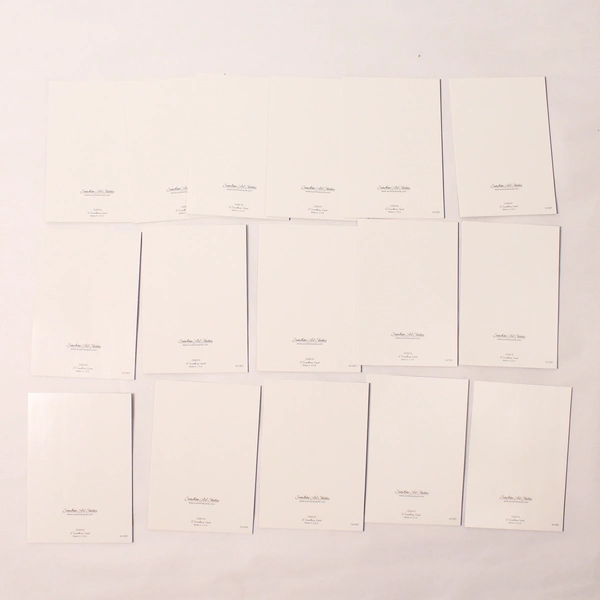 Set of 16 Sunshine Art Studios Religious Christmas Cards With Envelopes