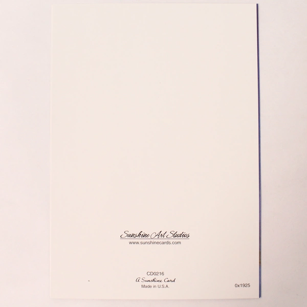 Set of 16 Sunshine Art Studios Religious Christmas Cards With Envelopes