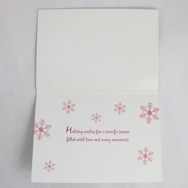 Set of 10 Fantus Paper Products Snowman Christmas Photo Cards