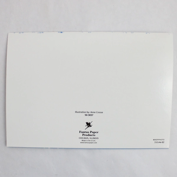 Set of 10 Fantus Paper Products Snowman Christmas Photo Cards