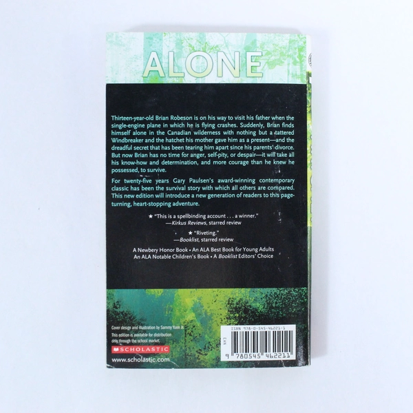 Hatchet by Gary Paulsen Survival Story 2012 Scholastic Books Paperback