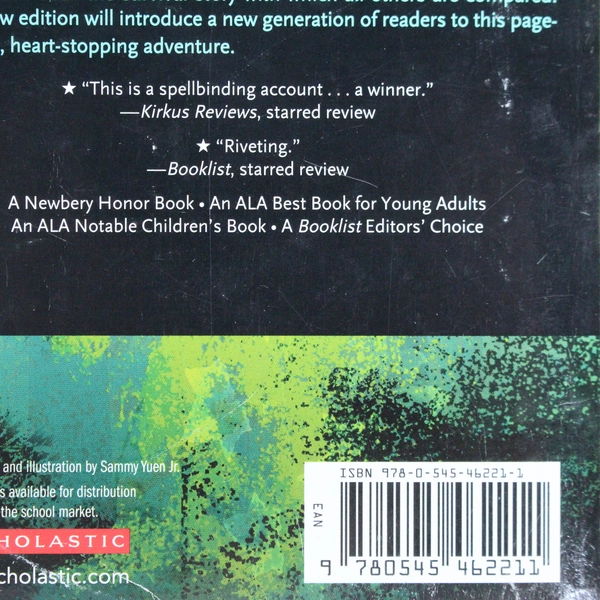 Hatchet by Gary Paulsen Survival Story 2012 Scholastic Books Paperback