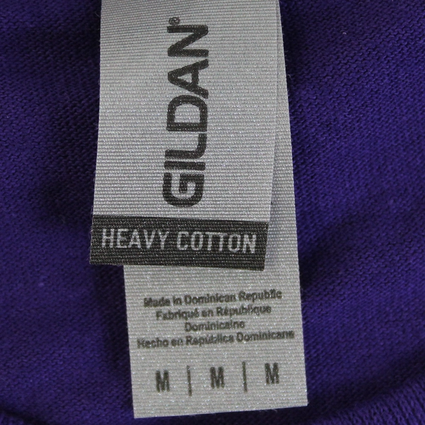 Gildan Purple Size Medium T-Shirt UW Conference Women Physics 2023 Seattle