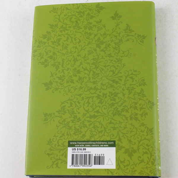 The Boy on the Porch by Sharon Creech 2013 Hardcover - Good Condition