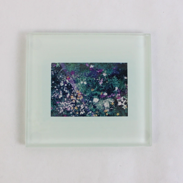 Set of 2 Frosted Glass Mini Picture Frames Floral Photo (4" x 4.5")