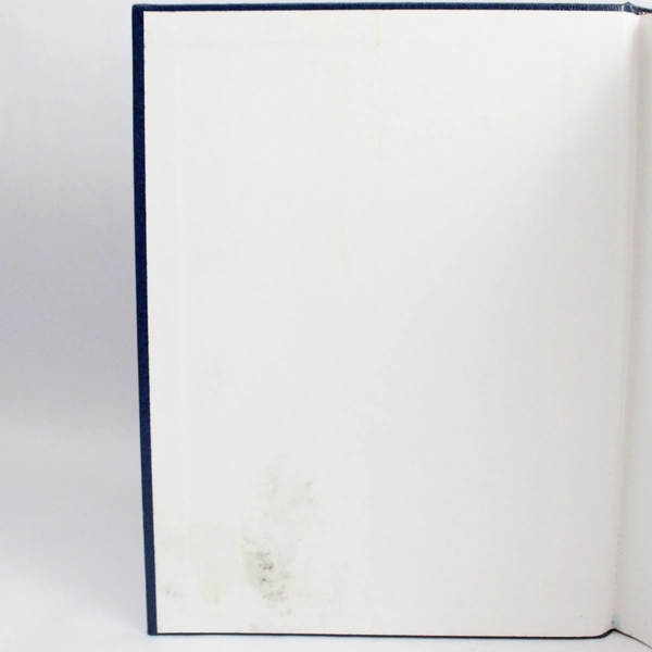 Tormont Webster's Illustrated Encyclopedia Dictionary 1990 Hardcover