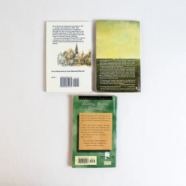 Lot Of 3 Vtg PB Books A Christmas Carol Island Of The Blue Dolphins Evangeline