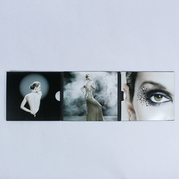 Celine Dion Taking Chances CD 2007 Sony BMG Pre-Owned Good Condition