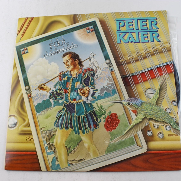 Peter Kater The Fool and The Hummingbird LP 1987 Silver Wave Records