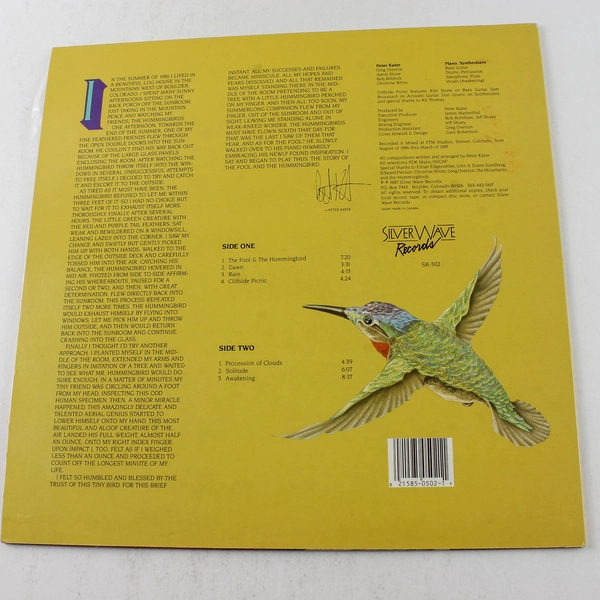 Peter Kater The Fool and The Hummingbird LP 1987 Silver Wave Records