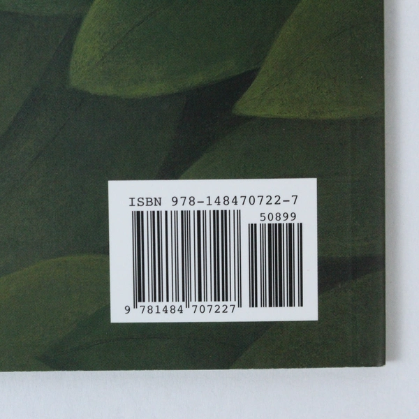 Sparrow Girl by Sara Pennypacker 2009 Paperback - Very Good Condition