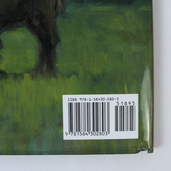 Buffalo Song by Joseph Bruchac 2013 Lee & Low Books Hardcover 1st Edition