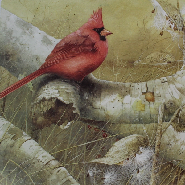 Marjolein Bastin Jigsaw Puzzle American Cardinal Incomplete Missing Pieces Vtg