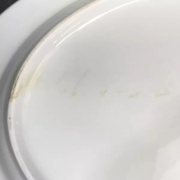 Yong Shen Hand Painted China Platter White With Flowers Platinum Rim