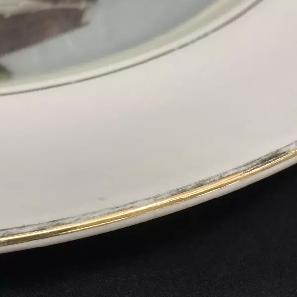 Preston Hopkinson Porcelain Plate Trinity Lutheran Church McMinnville OR